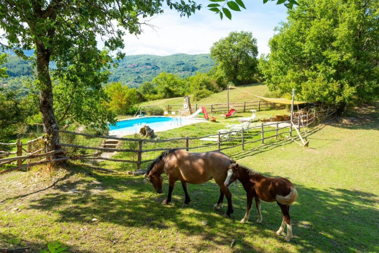Villa Bellavista Arezzo Eksteriør bilde