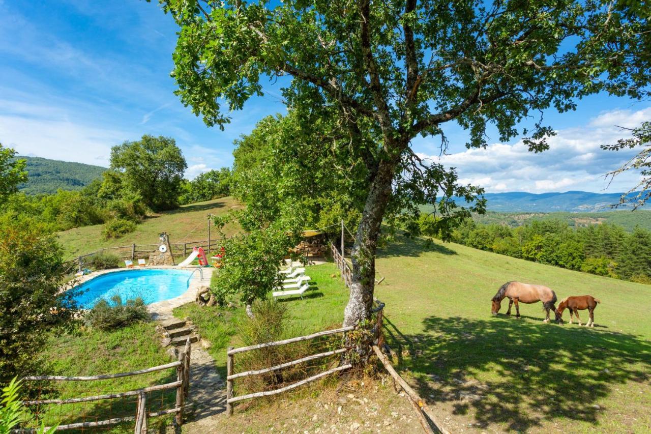 Villa Bellavista Arezzo Eksteriør bilde